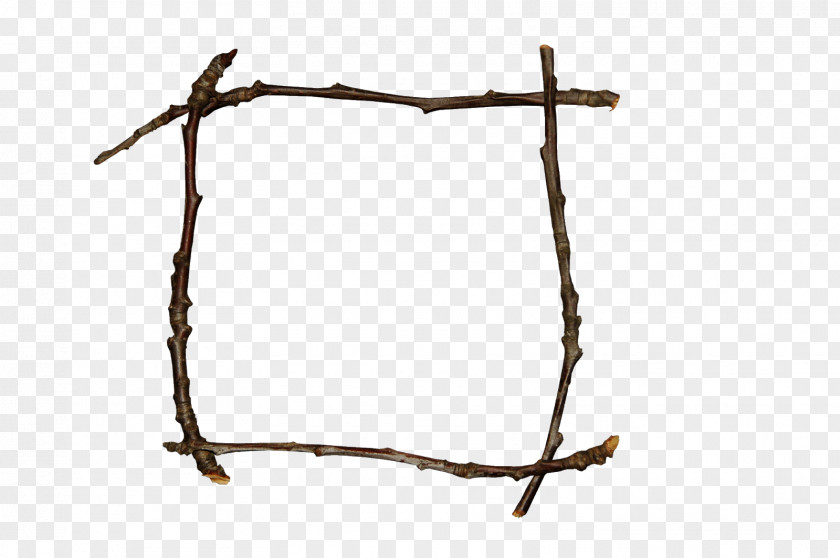 Plant Twig Background PNG