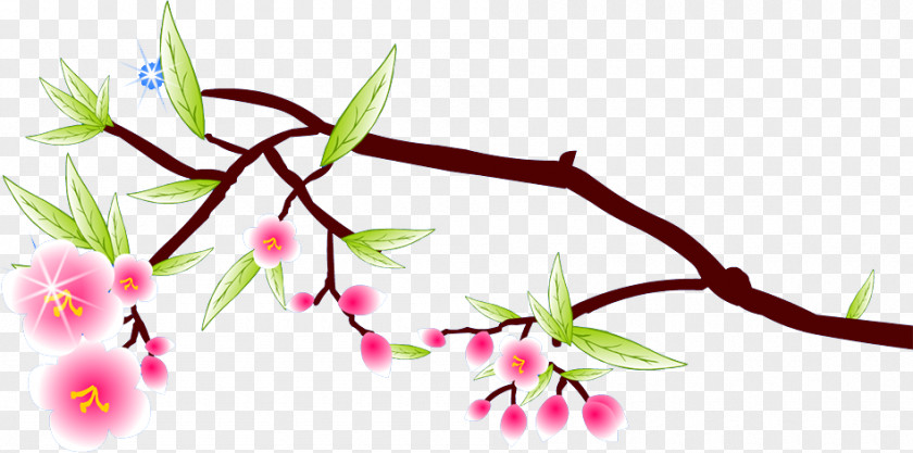 Plum Flower Blossom Petal PNG