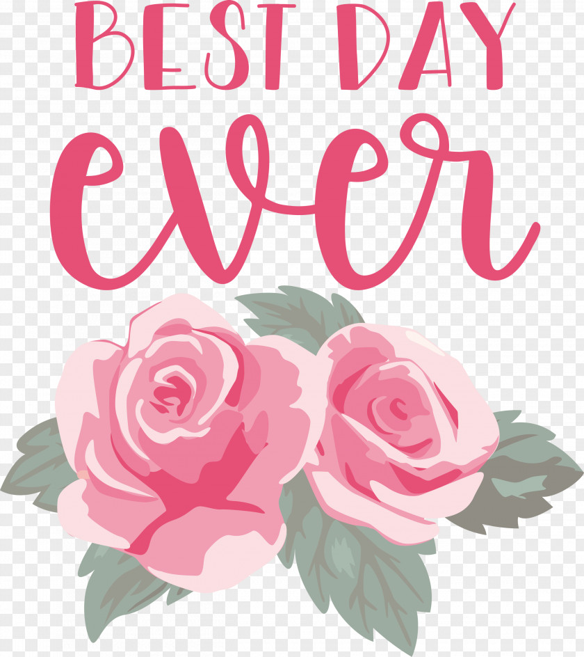 Best Day Ever Wedding PNG