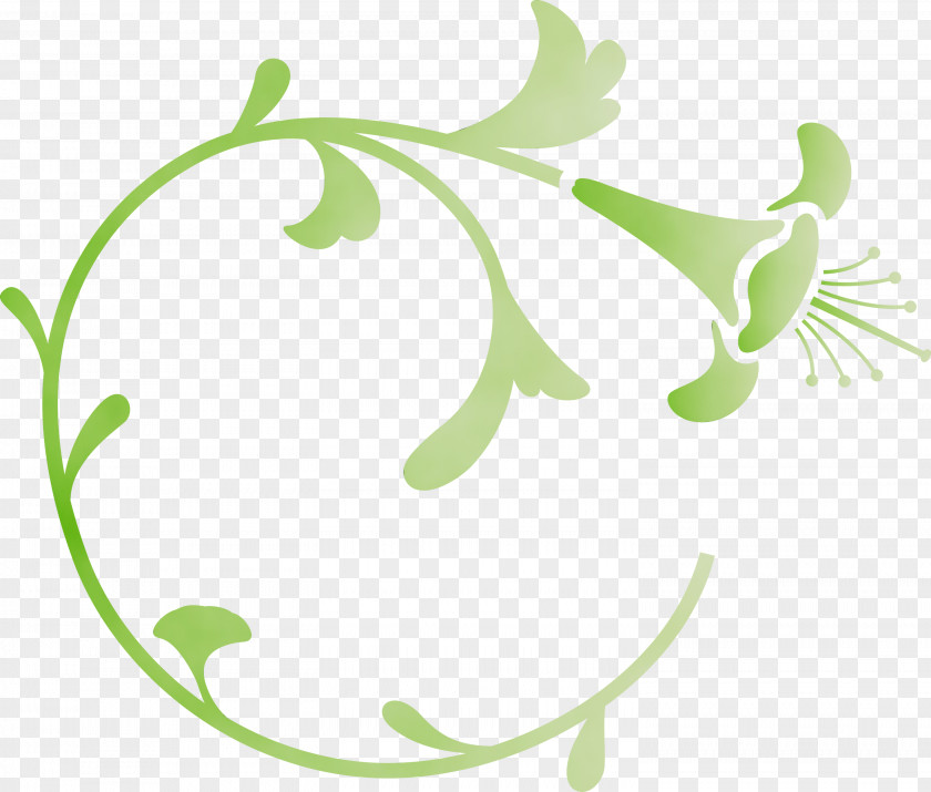 Leaf Plant Flower Stem Pedicel PNG