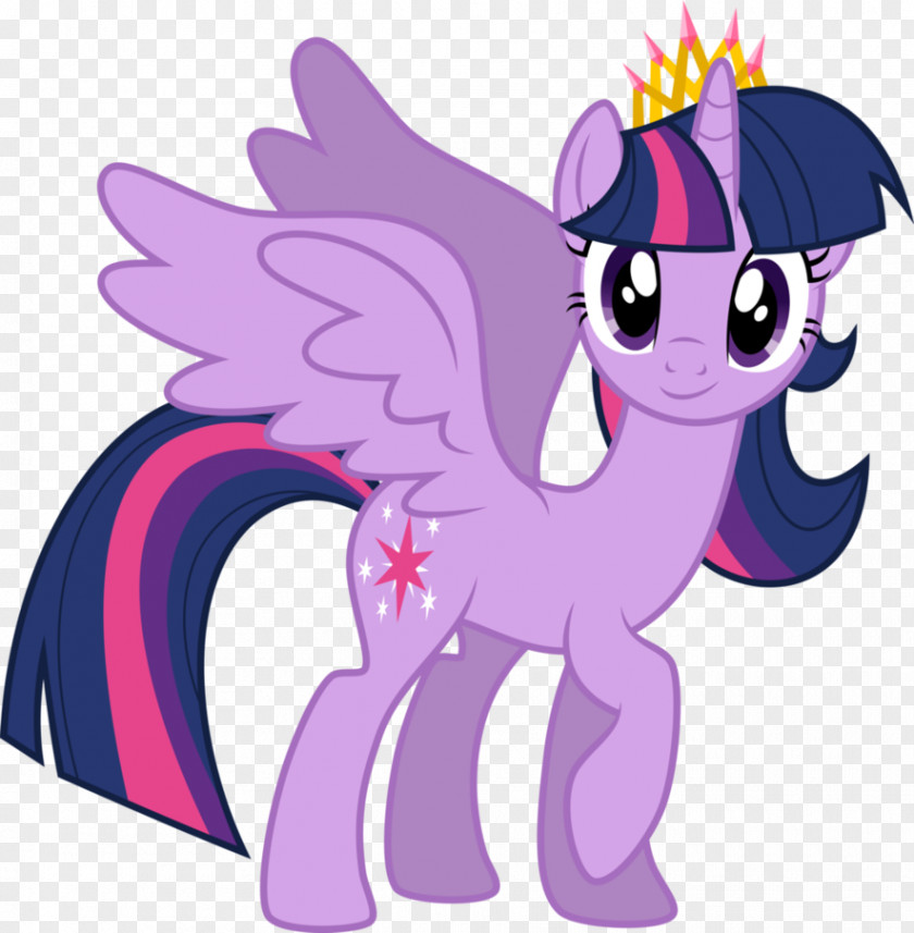 Little Princess Pony Twilight Sparkle Rainbow Dash Rarity Sunset Shimmer PNG