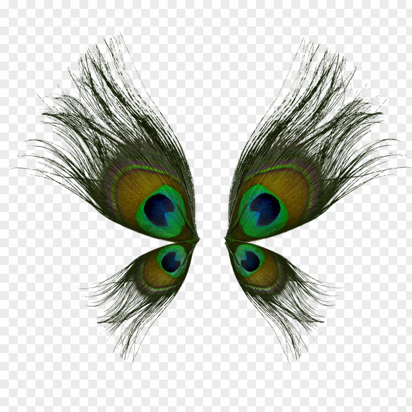 Peacock Wings Bird Peafowl Feather Wing PNG