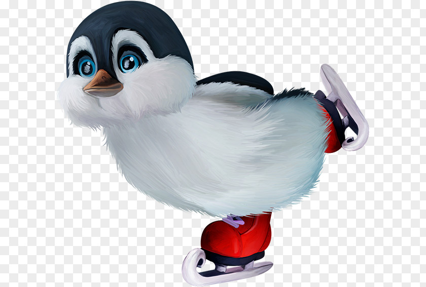 Penguin Goose Cygnini Duck Bird PNG