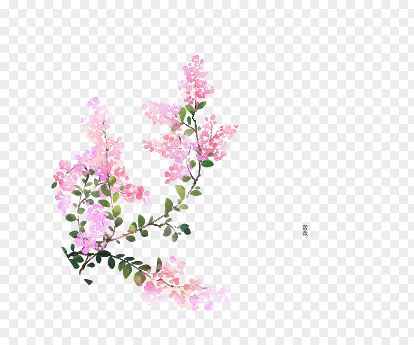Vector Illustration Floral Pattern Flower U8a69u8a5eu6b4cu8ce6 Illustrator PNG