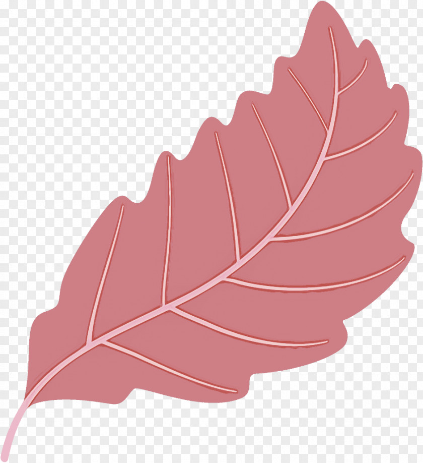 Autumn Leaf Fallen Dead PNG