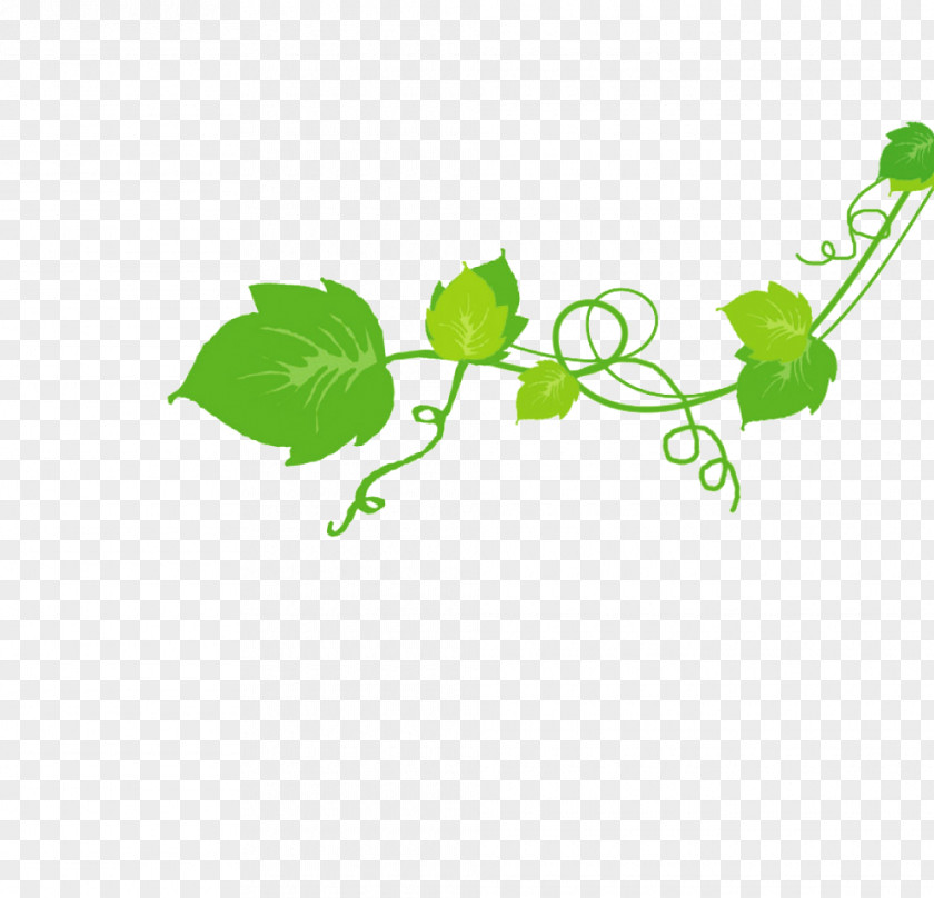 Leaf Clip Art Green Product Design Plant Stem PNG