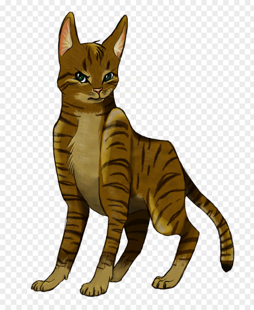 Paw Wolf Toyger Bengal Cat California Spangled Sokoke Tabby PNG
