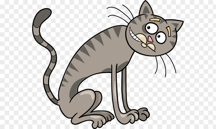 Vector Cute Cat Thin Wildcat Kitten Tabby Illustration PNG