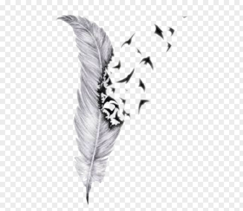 Creative Travel Bird Flight Tattoo Feather Henna PNG