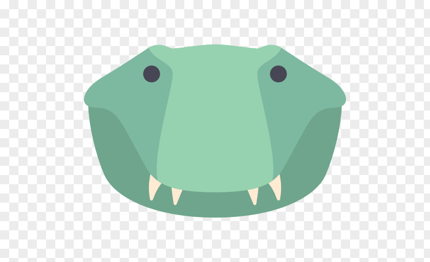 Crocodile Crocodiles Animal Icon PNG