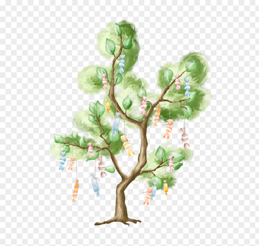 Forest Watercolor Birthday 0 Tree Party August PNG