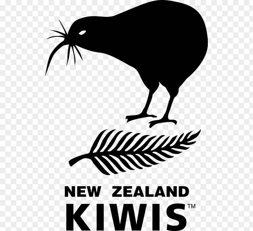New Zealand National Rugby League Team Union World Cup PNG