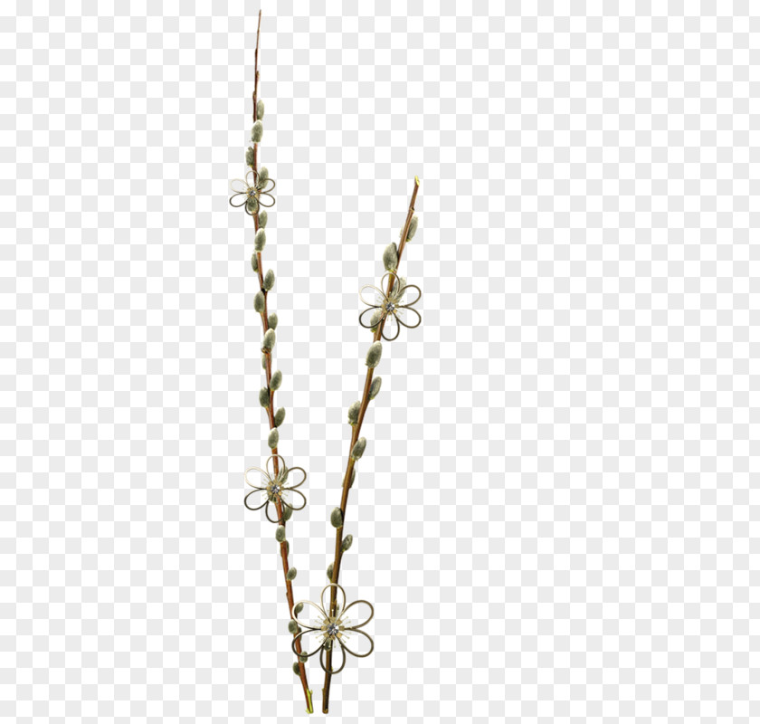 Tree Photography Shrub Clip Art PNG