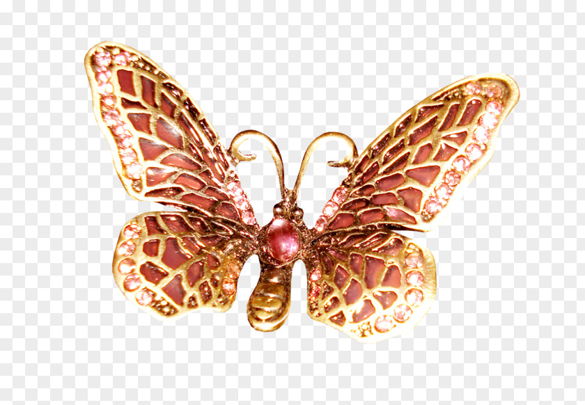 Victorian Death Brooch Moth Body Jewellery Human PNG