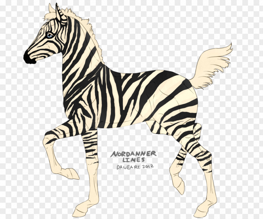 Cat Quagga Terrestrial Animal Zebra Mammal PNG