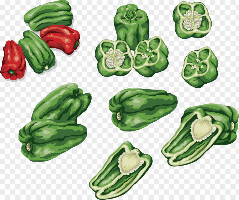Pepper Bell Chili Vegetable Food PNG