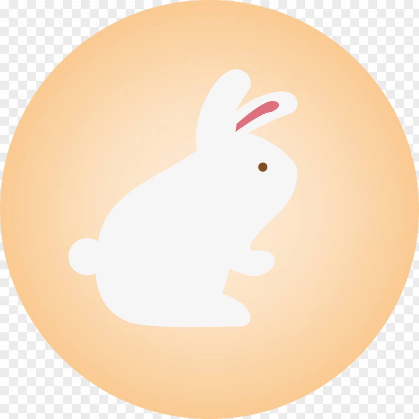 Rabbit PNG