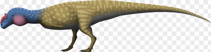 T Rex Majungasaurus Tyrannosaurus Medusaceratops Olorotitan Reptile PNG
