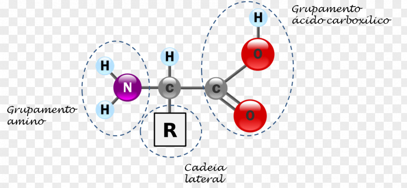 Thr Amino Acid Amine Protein Alanine PNG