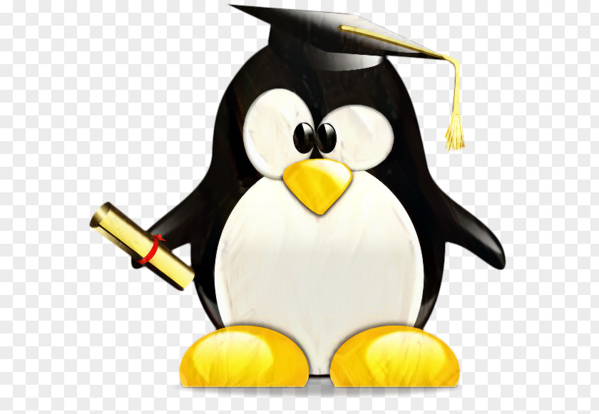 Emperor Penguin King Graduation Cartoon PNG