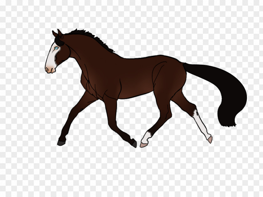 How Many Shots Fired Horse Pony Clip Art Carriage Image PNG