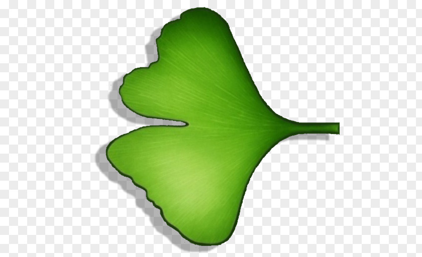 Leaf Plant Stem PNG