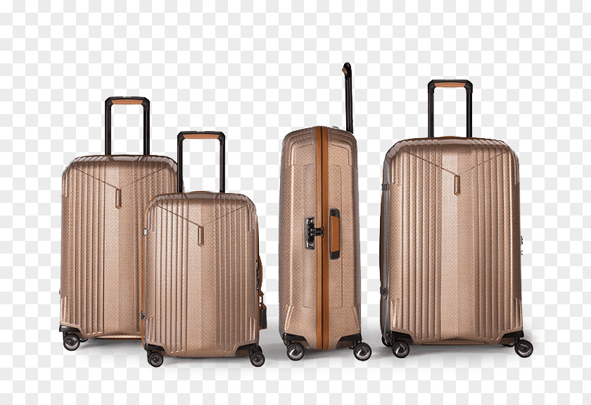 Suitcase Hand Luggage Hartmann Samsonite Baggage PNG