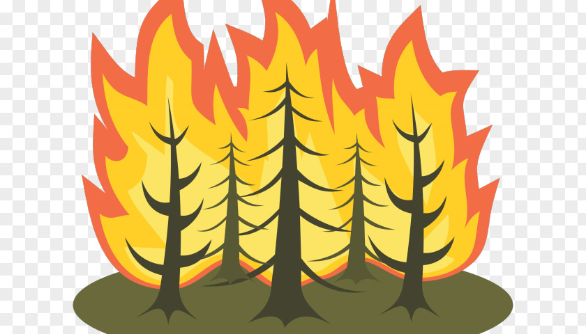 Summer Backyard Wood Burning Clip Art Wildfire Vector Graphics PNG