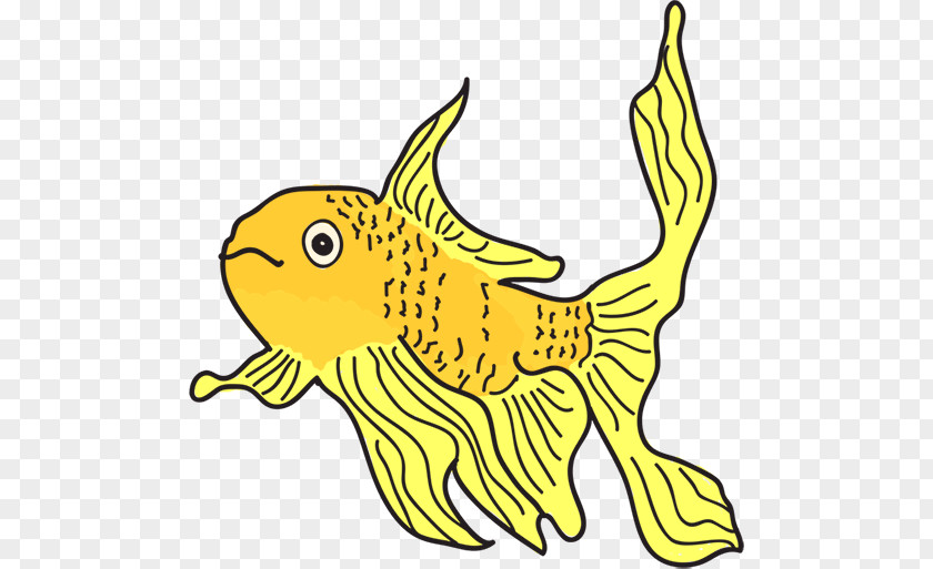 Gold Fish The Pet Shop Goldfish Location PNG