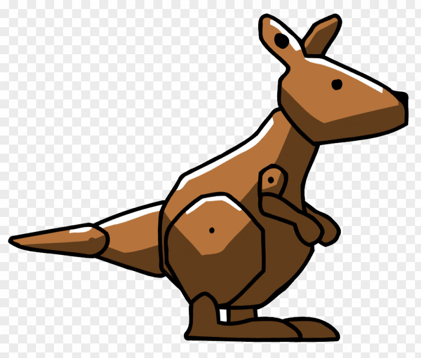 Kangaroo Koala PNG