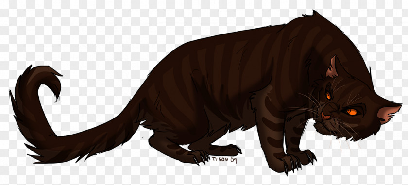 Lazy Cat Warriors Brokenstar Tigerstar Erin Hunter PNG