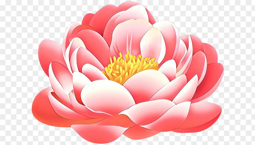 Peony Clip Art Desktop Wallpaper Petal Flower PNG