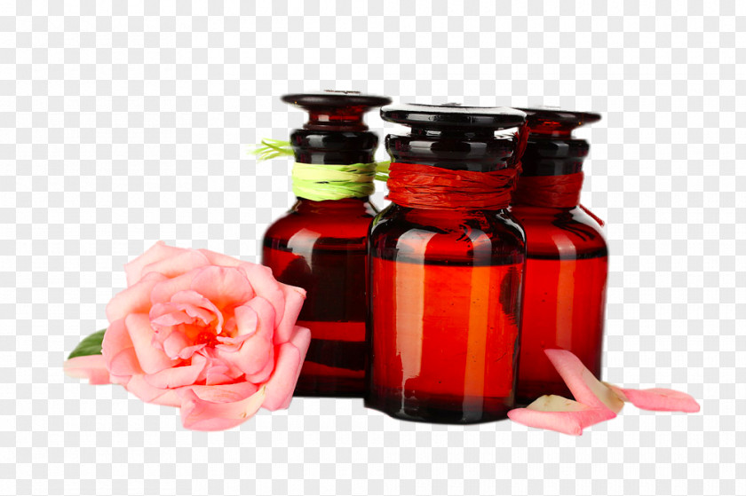 SPA Raised Oil Essential Rose Beach Cosmetology Flowering Tea PNG
