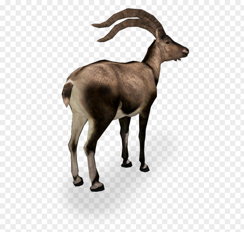 Goat Zoo Tycoon 2 Antelope Deer Pyrenean Ibex PNG