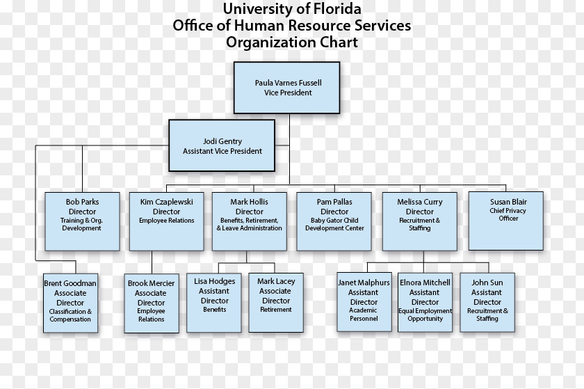 Human Organization Organizational Chart Structure Resource Management Resources PNG