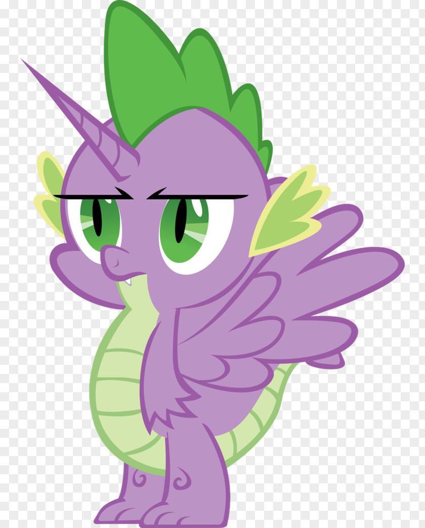 Little Princess Birthday Pony Winged Unicorn Twilight Sparkle Cartoon Rarity PNG