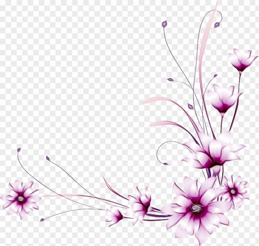 Wildflower Petal Cherry Blossom Background PNG