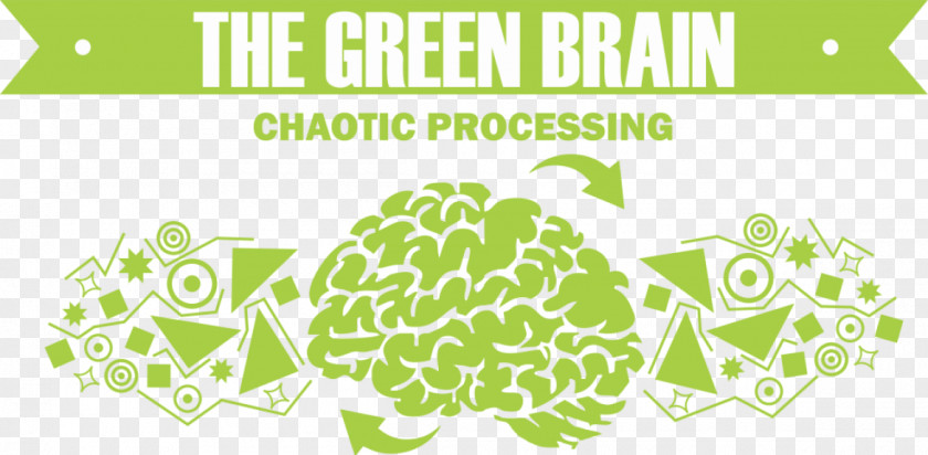 Brain Green Color Memory Red PNG