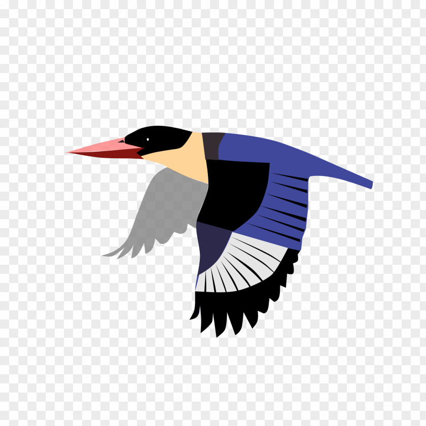Goose Beak Cygnini Duck Water Bird PNG