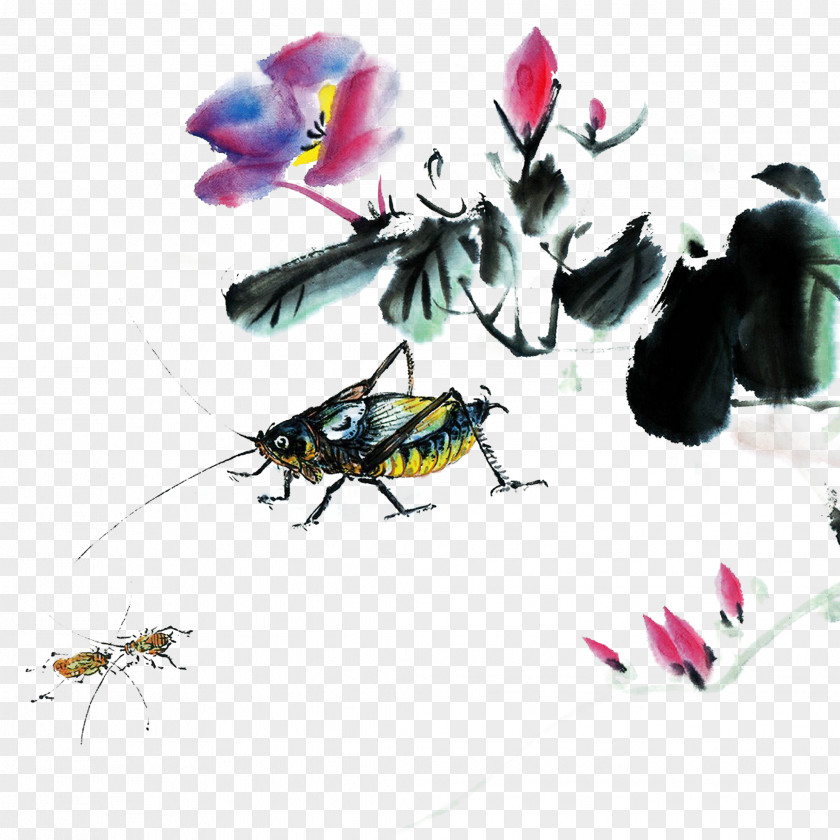 Grasshopper Day China Chinese Painting PNG