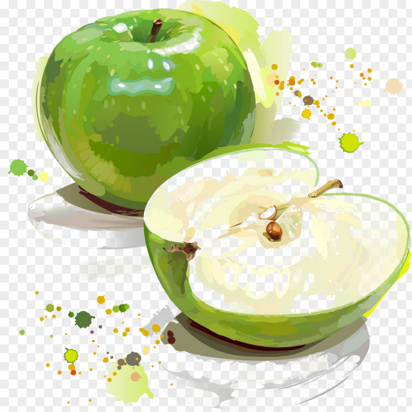 Green Apple Granny Smith Painting Illustration PNG