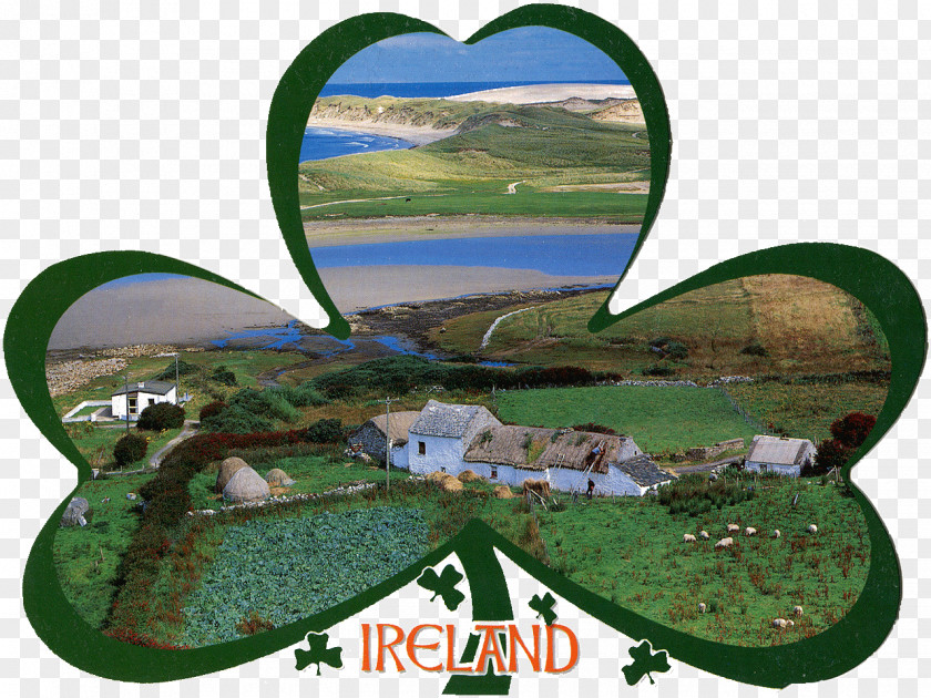 Post Cards Landscape Murphy's Irish Stout Cobh Kinsale PNG