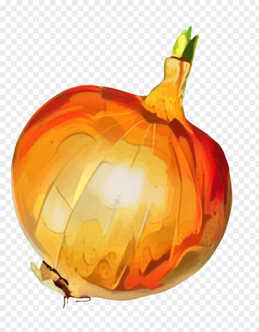 Pumpkin Calabaza Winter Squash Gourd PNG