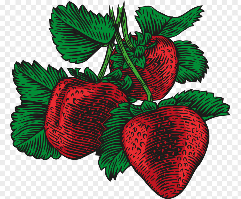Strawberry Vector Graphics Stock Photography Illustration Drawing PNG
