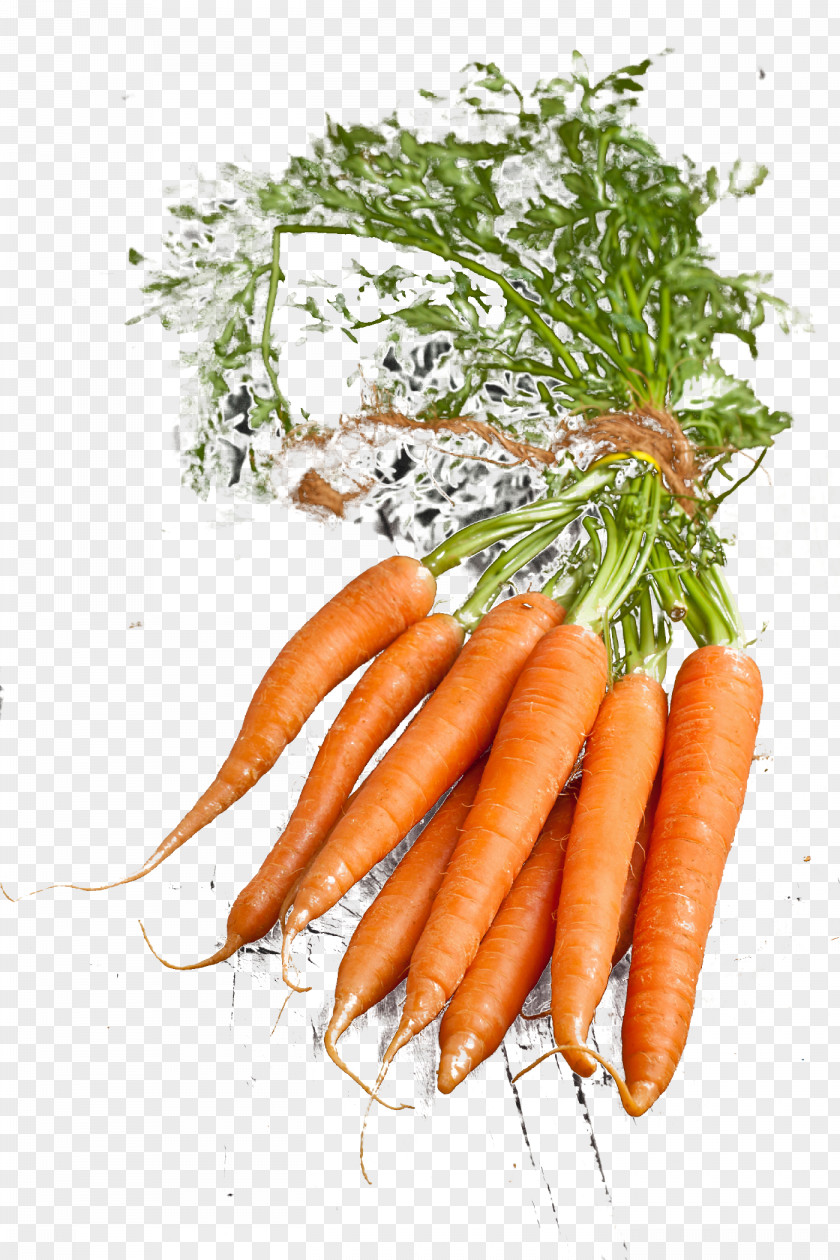 A Carrot Baby Vegetable Radish Vegetarian Cuisine PNG