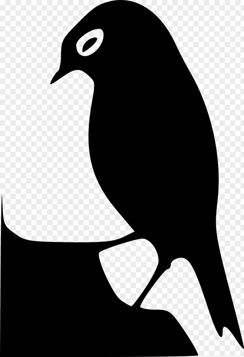 Bird Drawing Silhouette Clip Art PNG