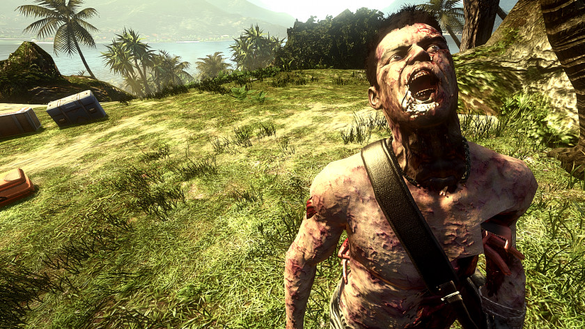 Dead Island Forest Tree Plant Screenshot PNG