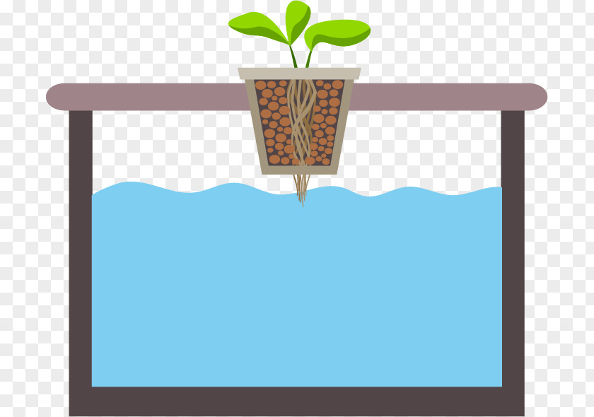 Hydroponic Basil Passive Hydroponics Cannabis Rectangle PNG