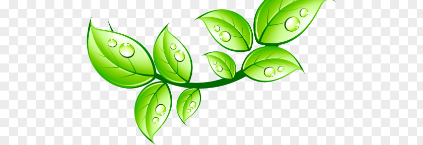 Leaf Aquarius Water And Coffee Service Cooler PNG