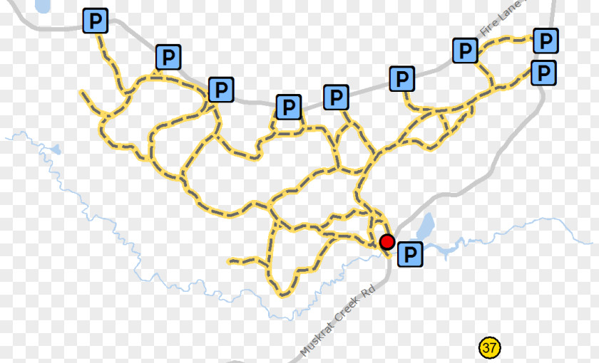 Line Point Map Tuberculosis PNG